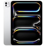 11-inch iPad Pro (M4)