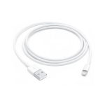 Lightning to USB Cable (1 m)