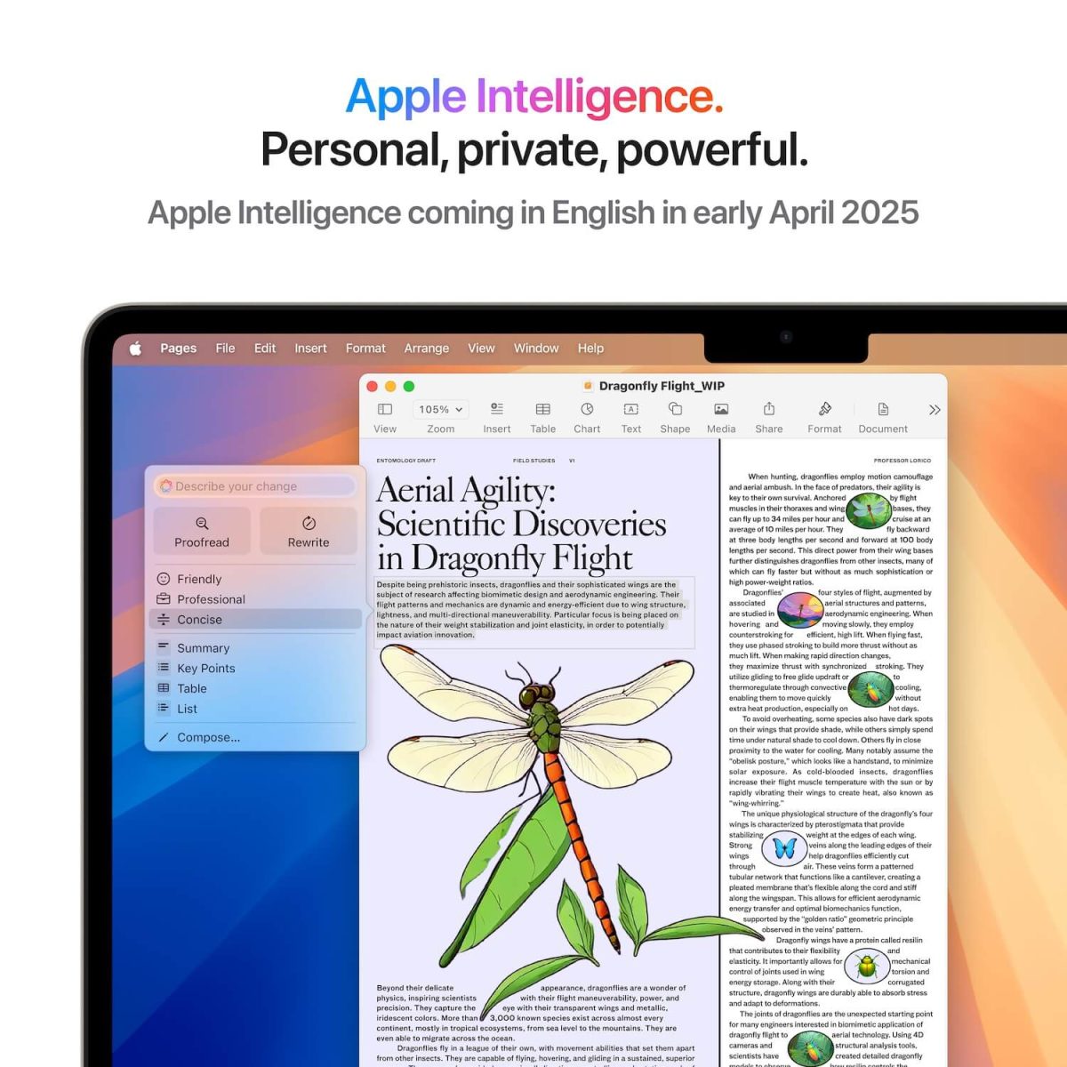 MacBook Air 13″ M4 - Image 8