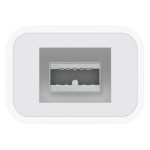 Apple Thunderbolt to FireWire Adapter - Image 3