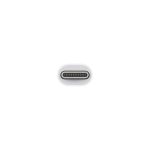 Thunderbolt 3 (USB-C) to Thunderbolt 2 Adapter - Image 2